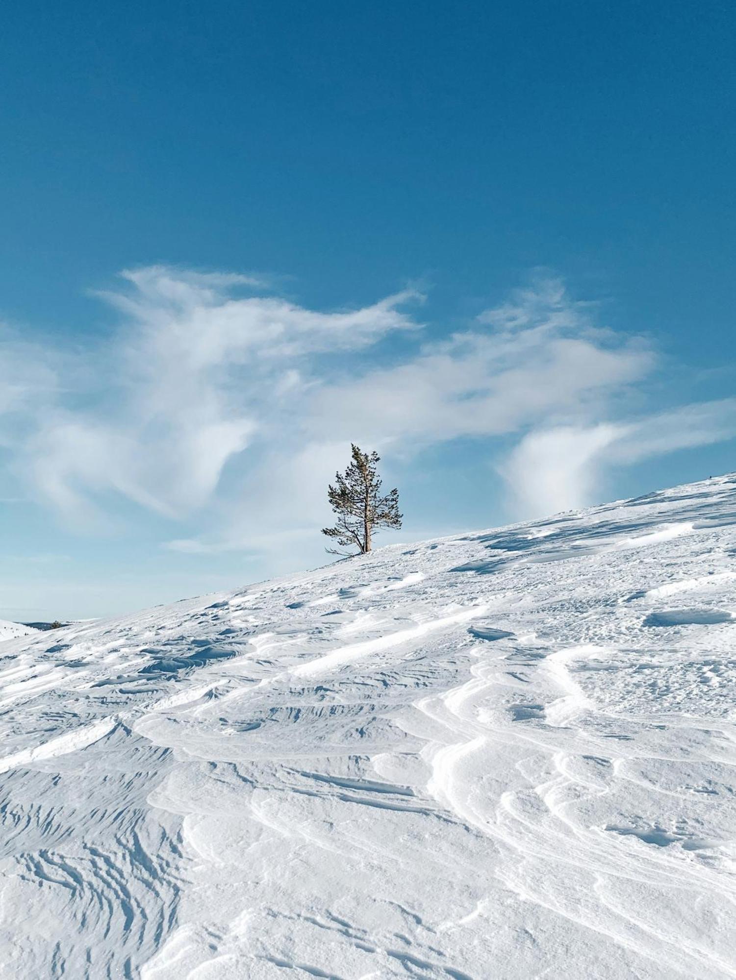 Lux Lapland Gielas Utsuvaara Lägenhet