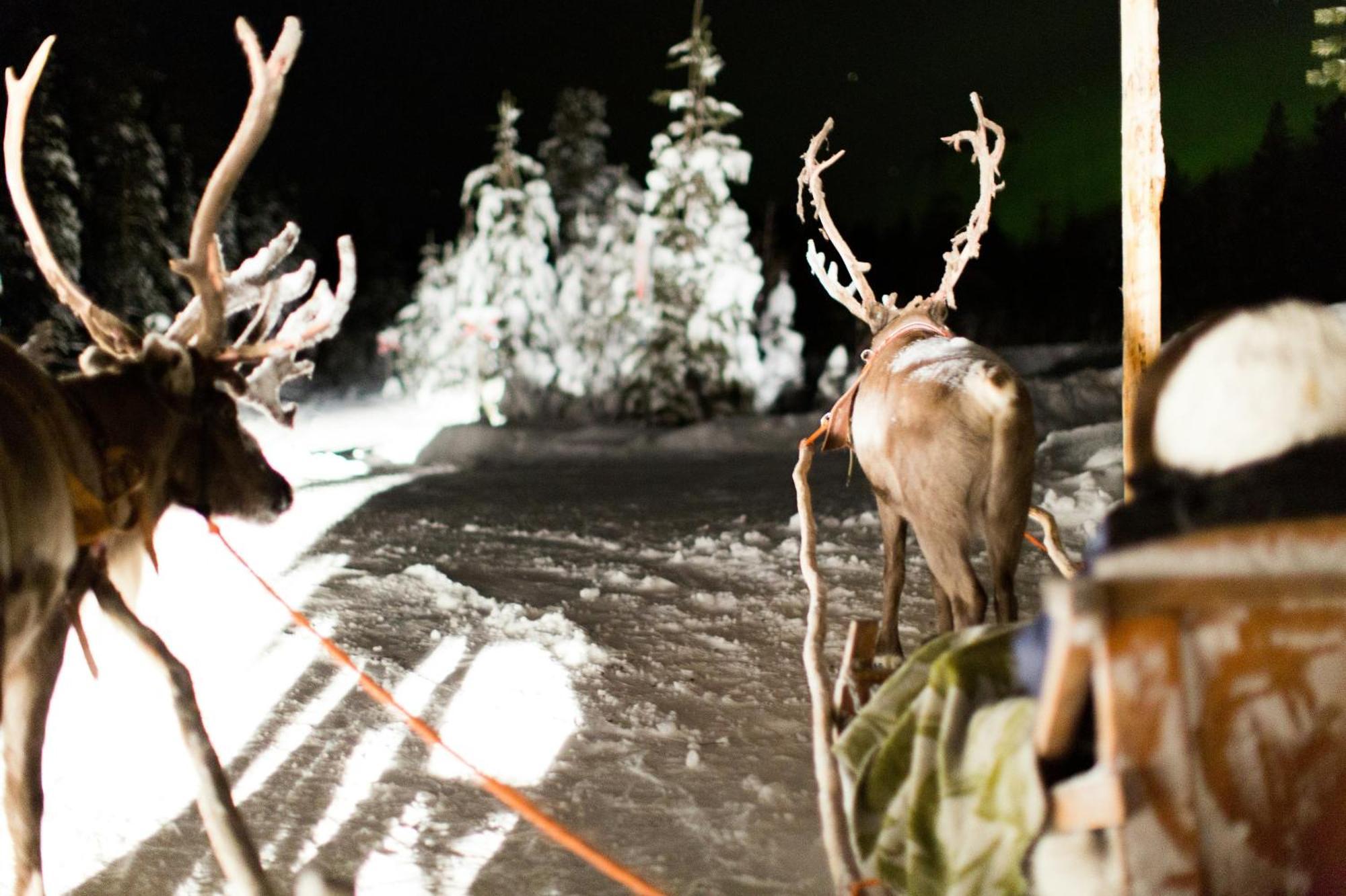 Lux Lapland Gielas Utsuvaara Lägenhet Levi